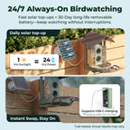 Smart Bird Feeder product image 8