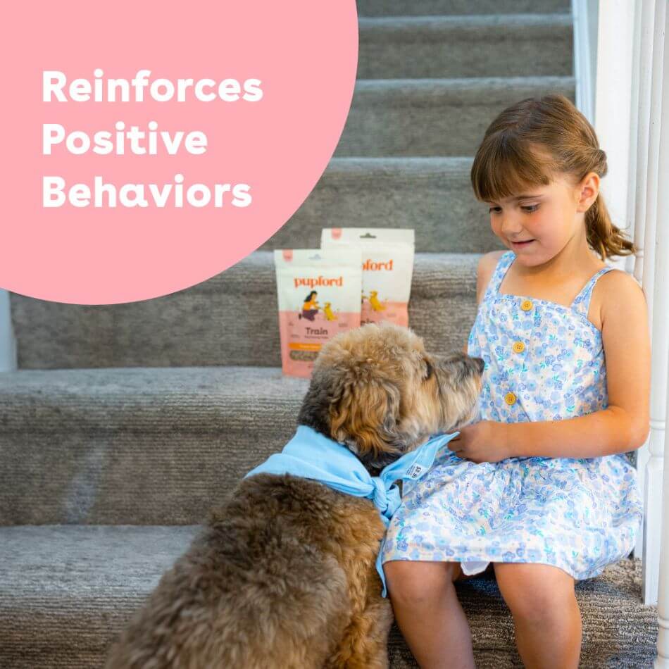 Dog Training Treats product image 8