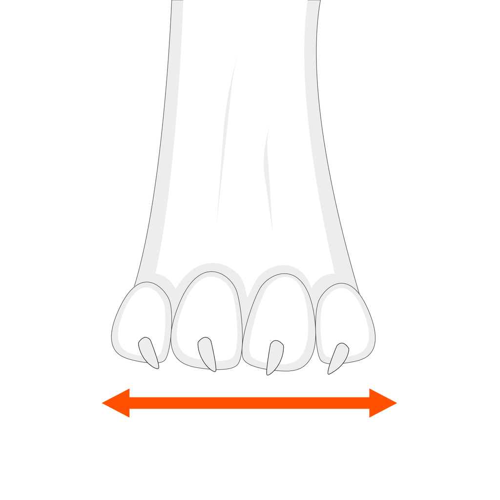 Dog Boots product image 8