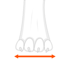 Dog Boots product image 8
