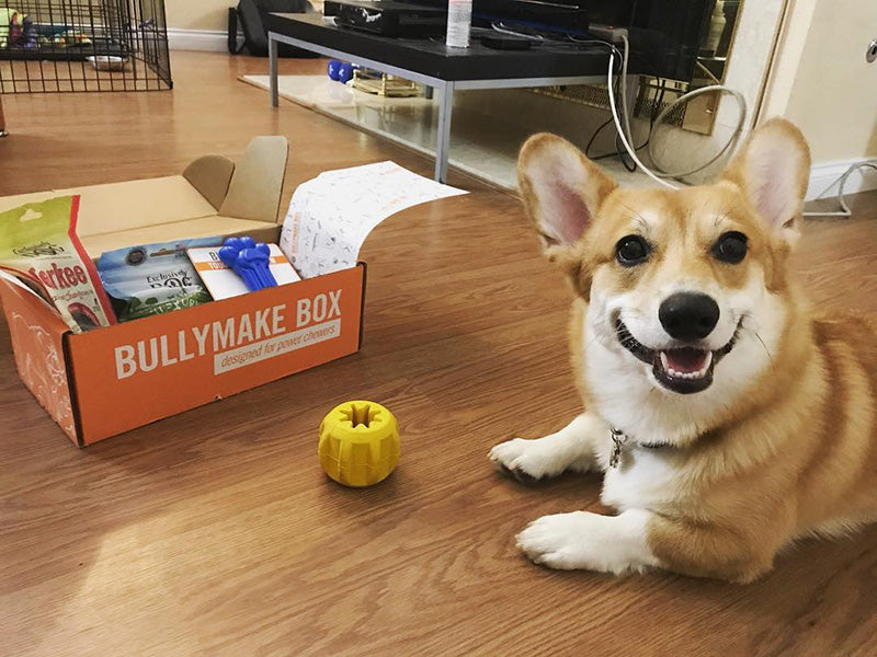Dog Toy Box product image 8