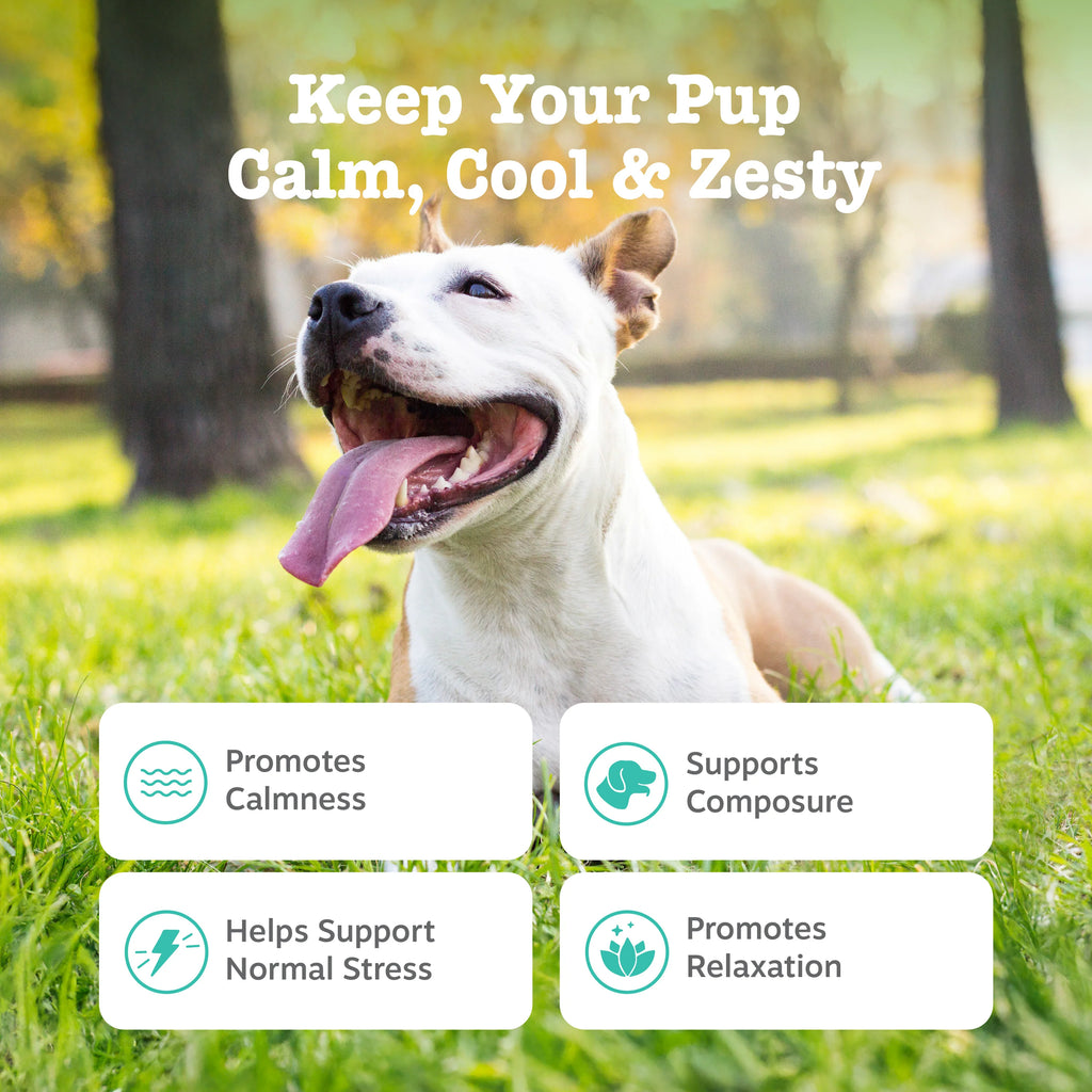 Pet Supplements product image 8
