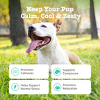Pet Supplements product image 8