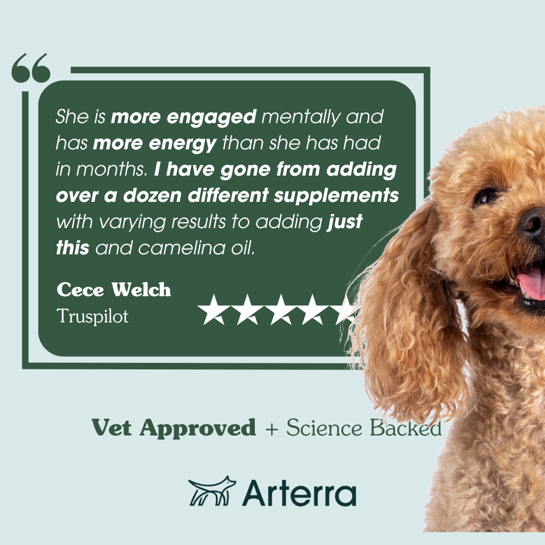 Adult Dog Multivitamin product image 8