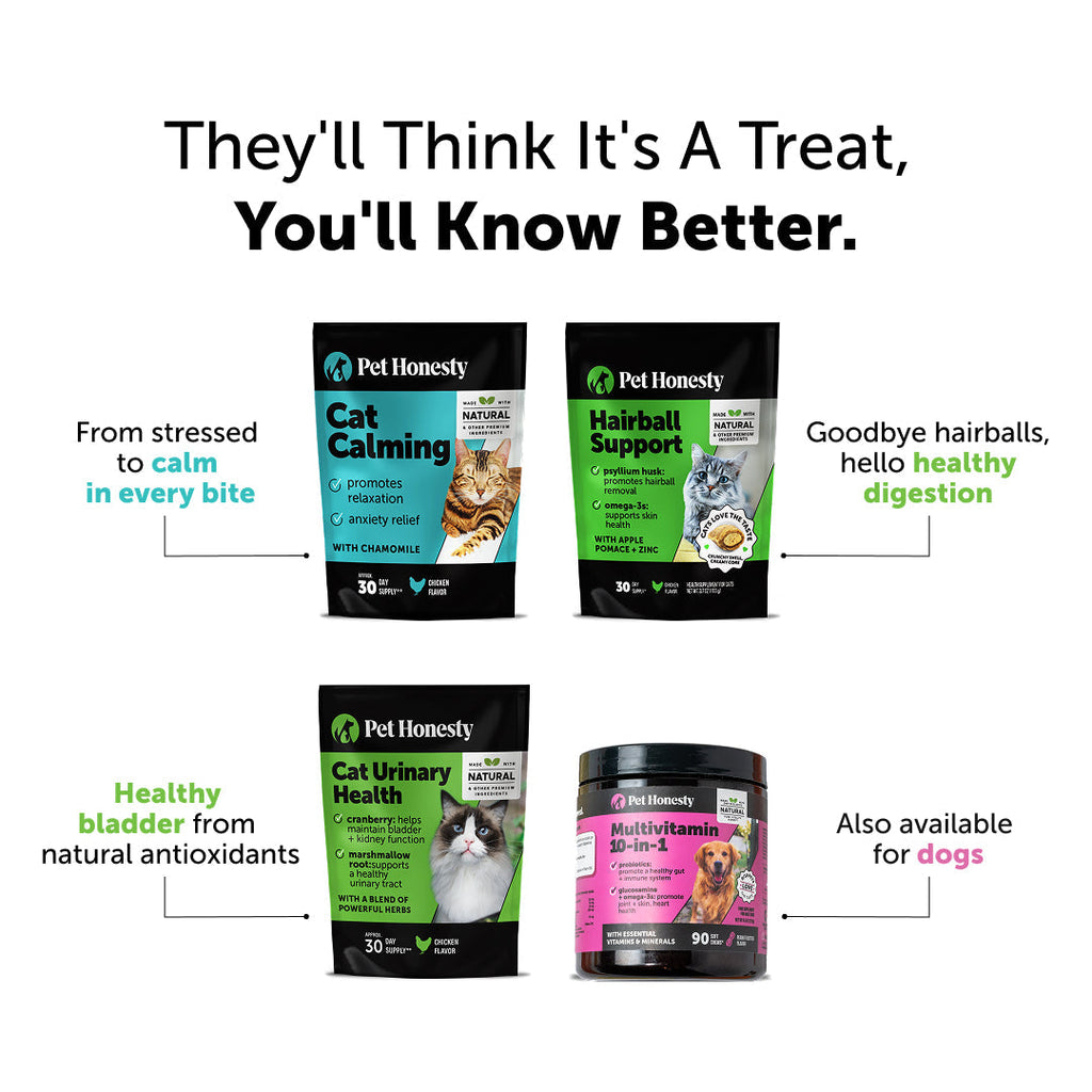 Dual Texture Cat Multivitamin Chews in Chicken Flavor Supporting Immune, Joint, Skin and Digestive Health product image 9