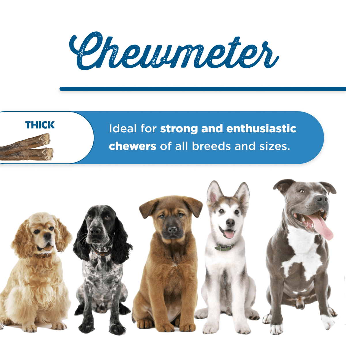 Six-Inch Thick Odor-Free Bully Sticks, Single-Ingredient Beef Chews for Medium and Strong Chewers source image 9
