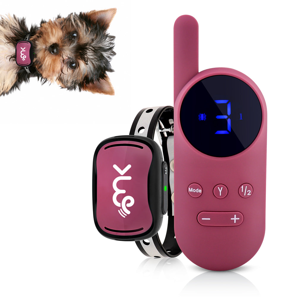 Rechargeable Remote Training Collar for Small Dogs, 1,000-Foot Range plus Tone, Vibration and Static Modes source image 9