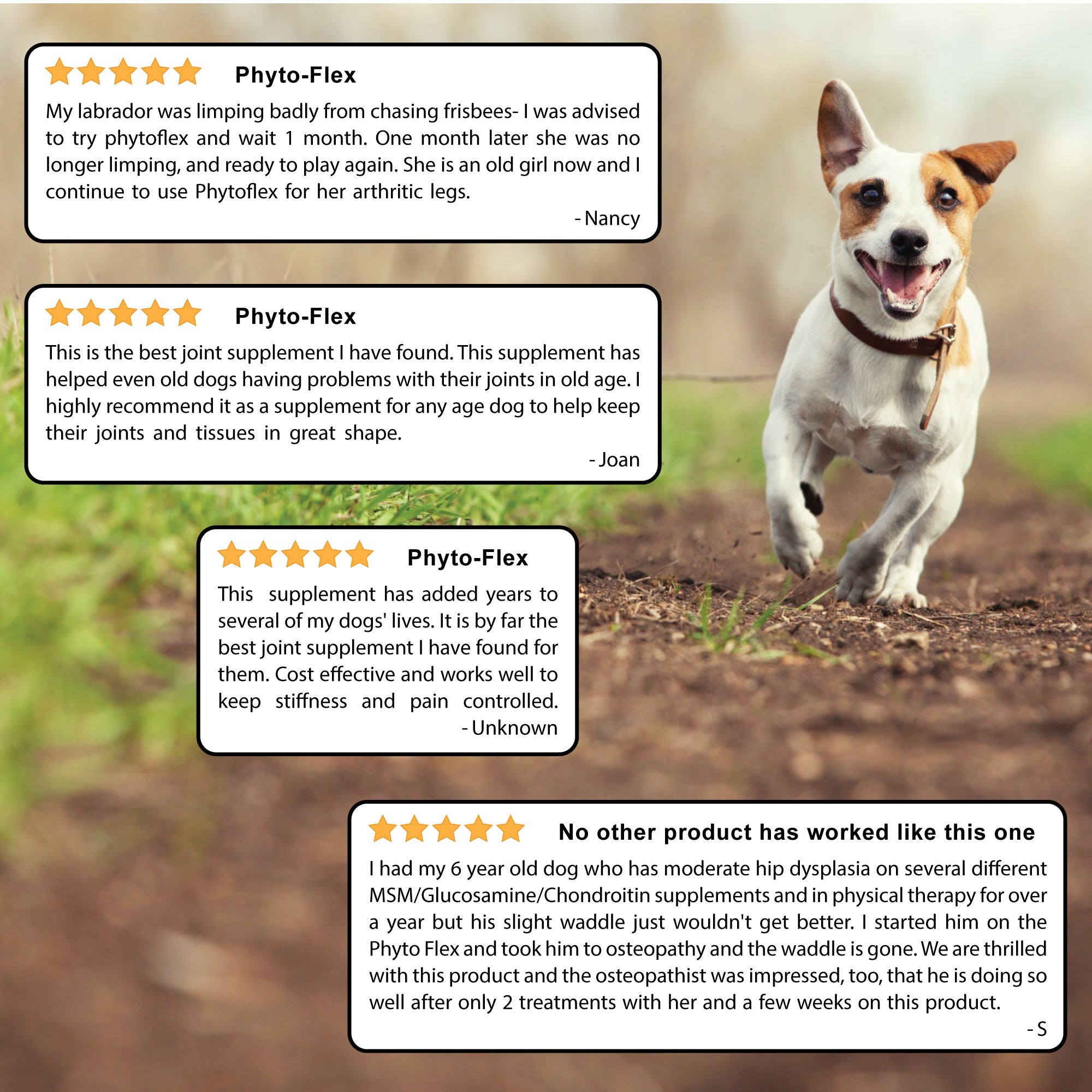 Dog Joint Support Supplement for Daily Mobility, Glucosamine and MSM Powder or Capsule Formats source image 9