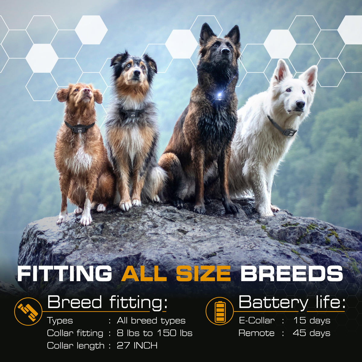 Remote Dog Training Collar for Long-Range Sessions, Waterproof Receiver with 124 Adjustable Levels source image 9
