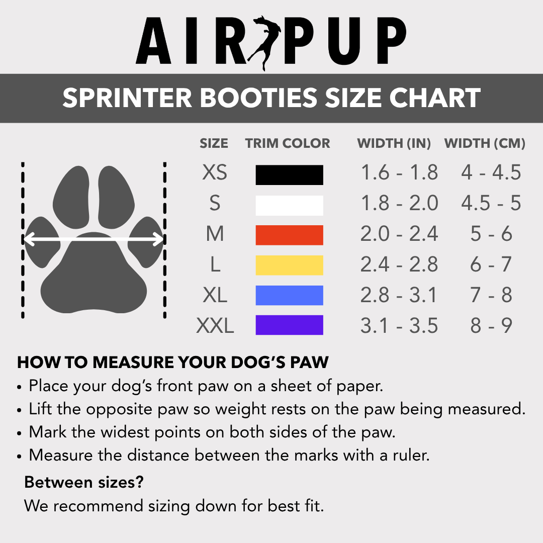 Flexible Dog Booties, Set of Four Water-Resistant Paw Protectors for Hot Pavement, Trails and Winter Walks source image 9