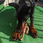 Nylon Dog Chew Toy with a Textured Solid Body, Squeaker-Free Enrichment for Supervised Power Chewing source image 9