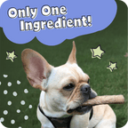 Spiral Bully Sticks for Dogs, Slow-Roasted Beef Pizzle Chews in 3, 10, 25 or 50 Count Packs source image 9
