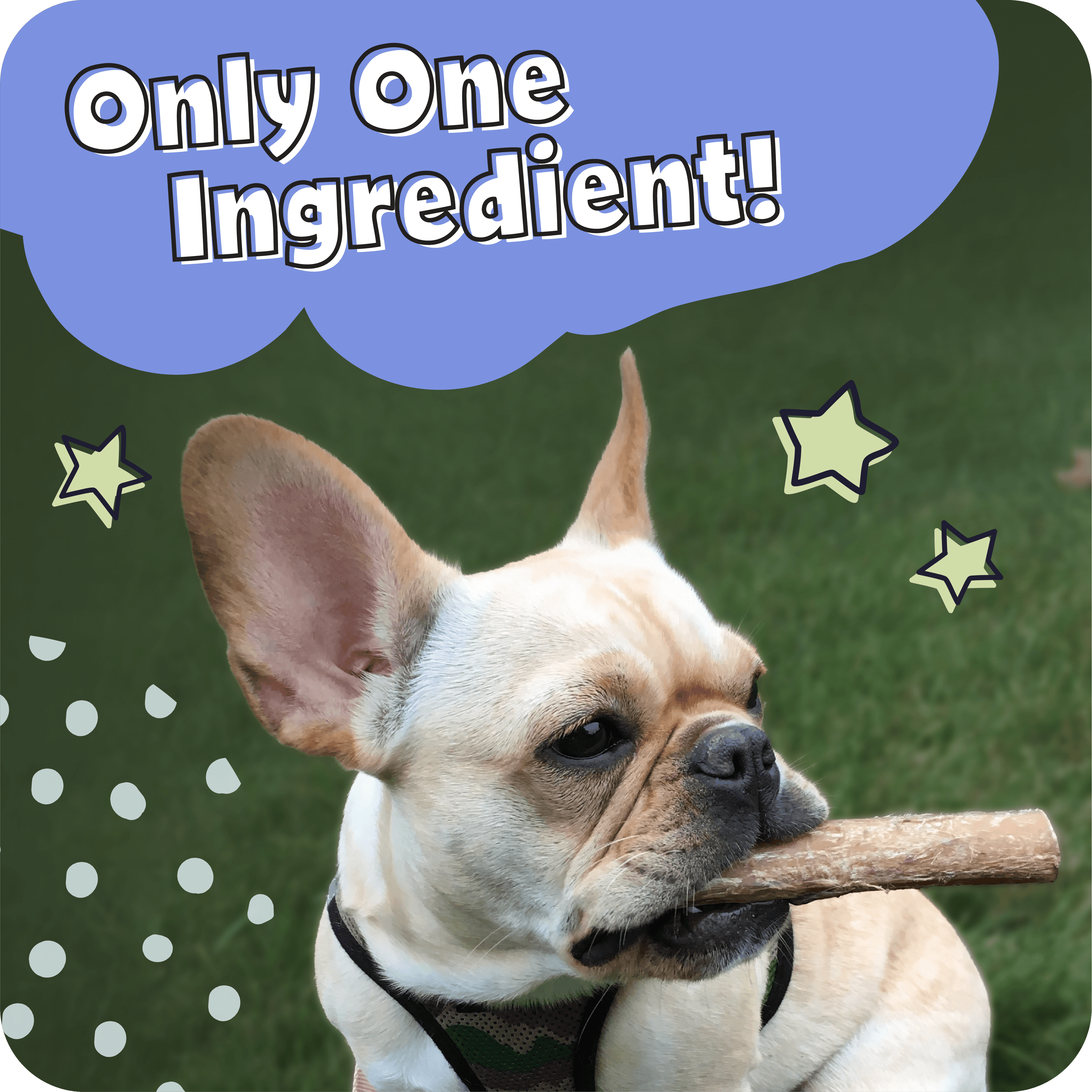Spiral Bully Sticks for Dogs, Slow-Roasted Beef Pizzle Chews in 3, 10, 25 or 50 Count Packs source image 9