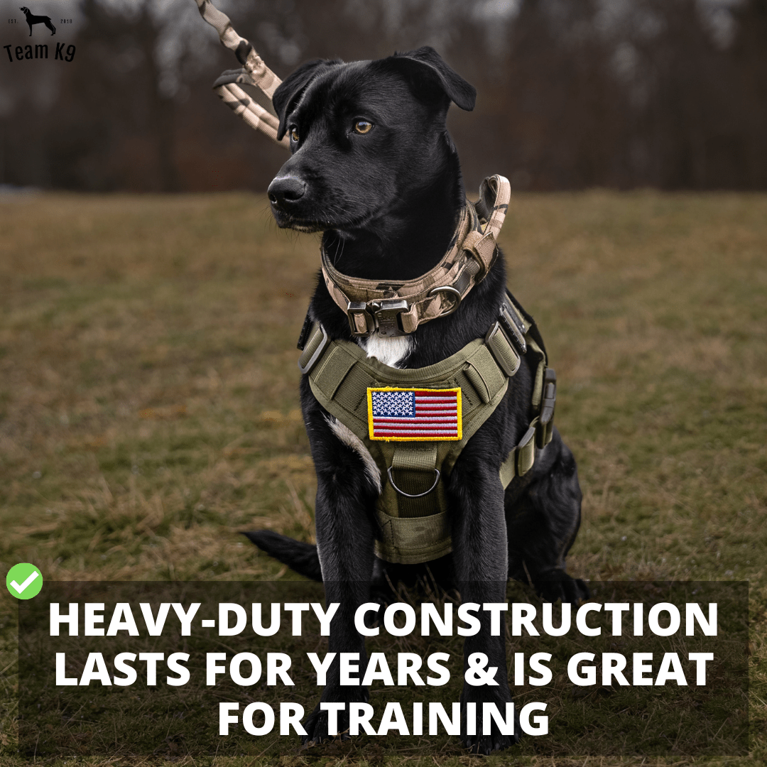 Heavy-Duty Tactical No-Pull Dog Harness with Dual D-Ring Control and Quick-Release Metal Buckles product image 9