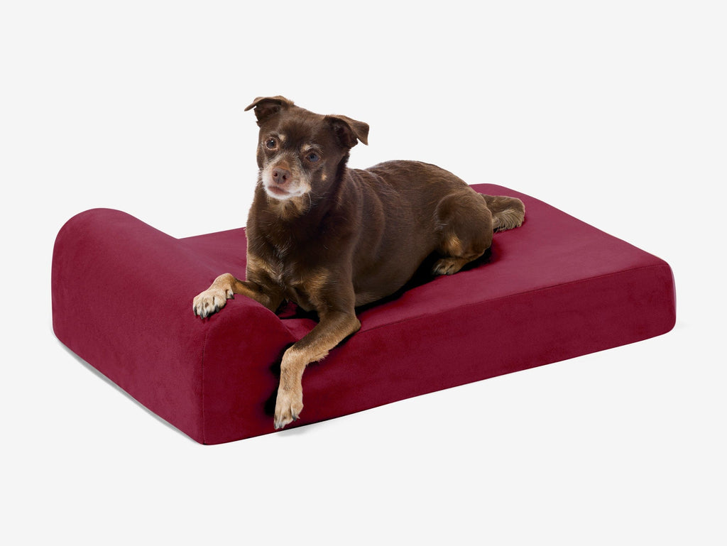 Orthopedic Dog Bed for Small and Medium Dogs, 4-Inch Layered Foam in Headrest and Sofa Styles source image 9
