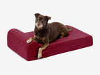 Orthopedic Dog Bed for Small and Medium Dogs, 4-Inch Layered Foam in Headrest and Sofa Styles source image 9
