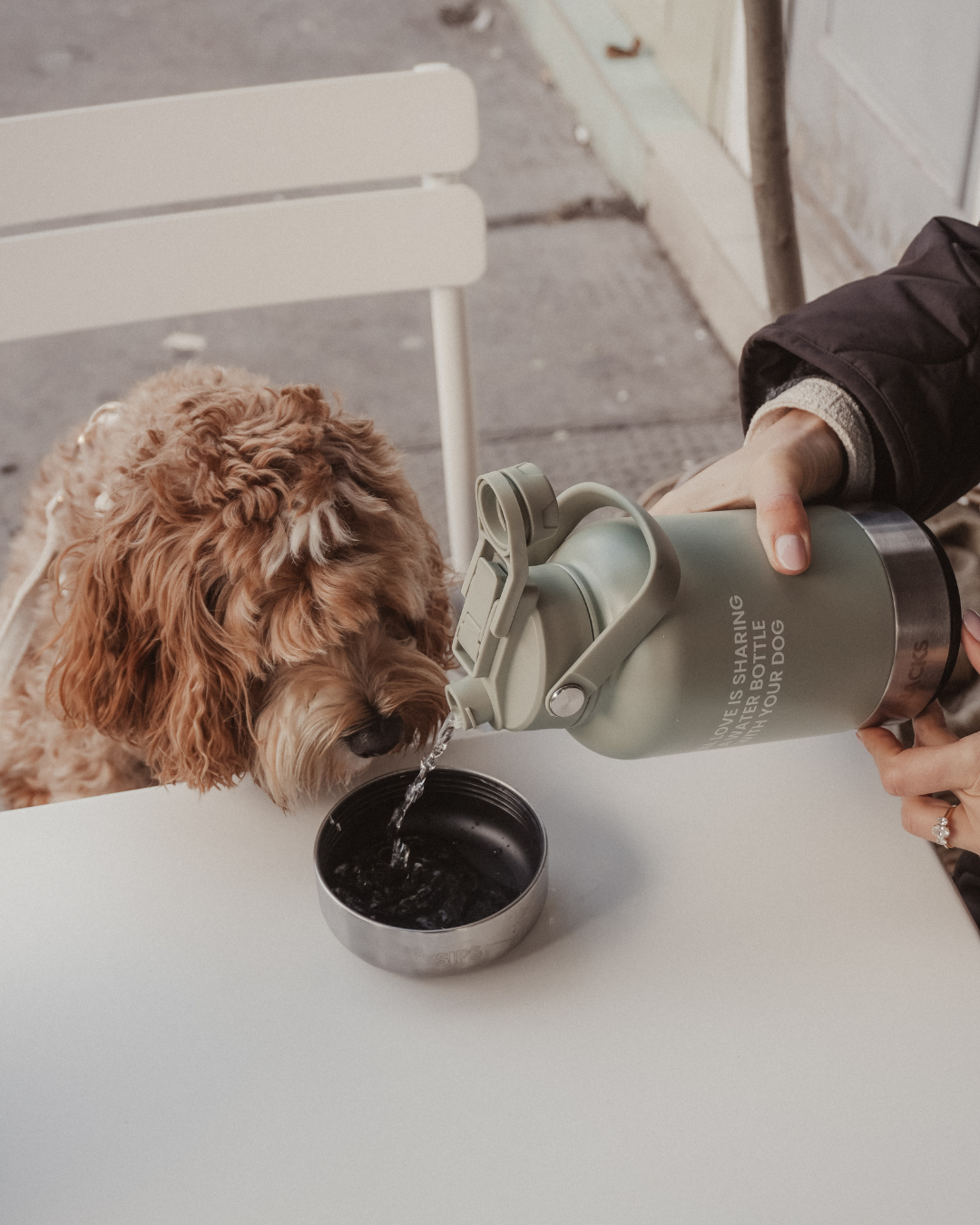 3-in-1 Dog Travel Water Bottle with 32 oz Reservoir and Two Detachable Bowls in Three Colors source image 9