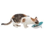 Tilted Ceramic Cat Bowl with Wide Oval Shape for Whisker-Friendly Wet and Dry Food Mealtimes source image 9