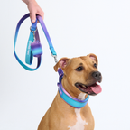 Cushioned Martingale Dog Collar for Gentle Leash Guidance, Limited-Cinch Design in Five Sizes source image 9