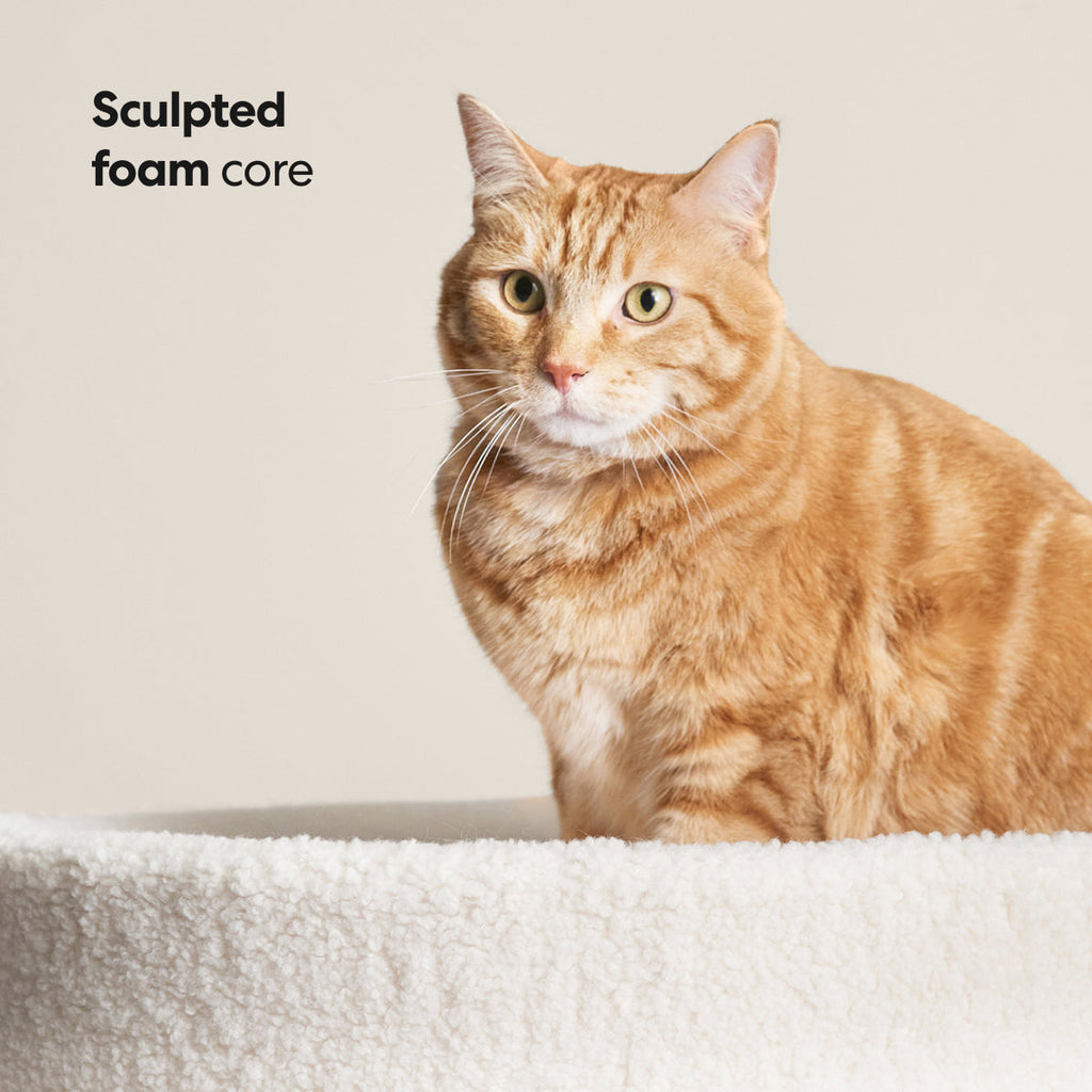 Nest-Shaped Cat Bed with Sculpted Foam Core and Faux Shearling Cover in Small, Wide or Two-Bed Set source image 9