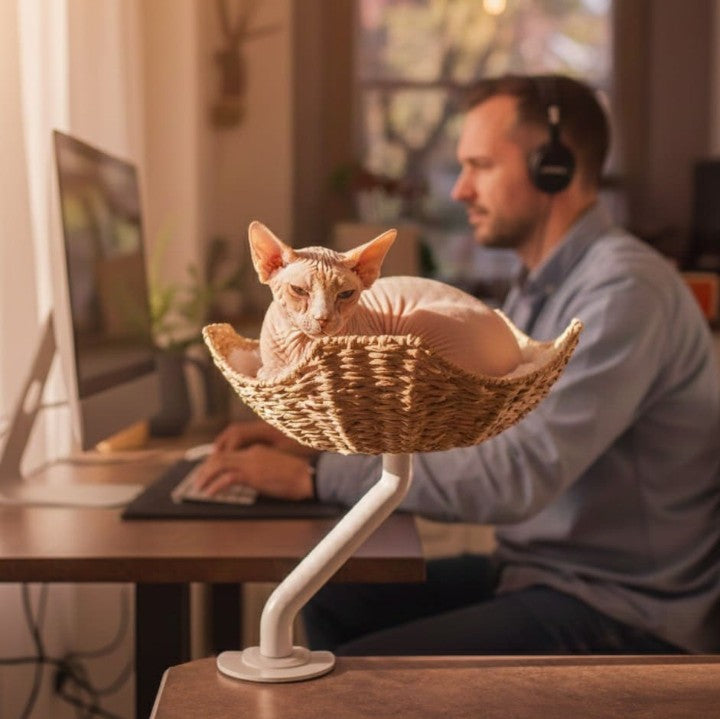 Rotating Desk-Mounted Cat Bed with Tool-Free Clamp, Handwoven or Birchwood Nest for Cats up to 45 lb source image 9