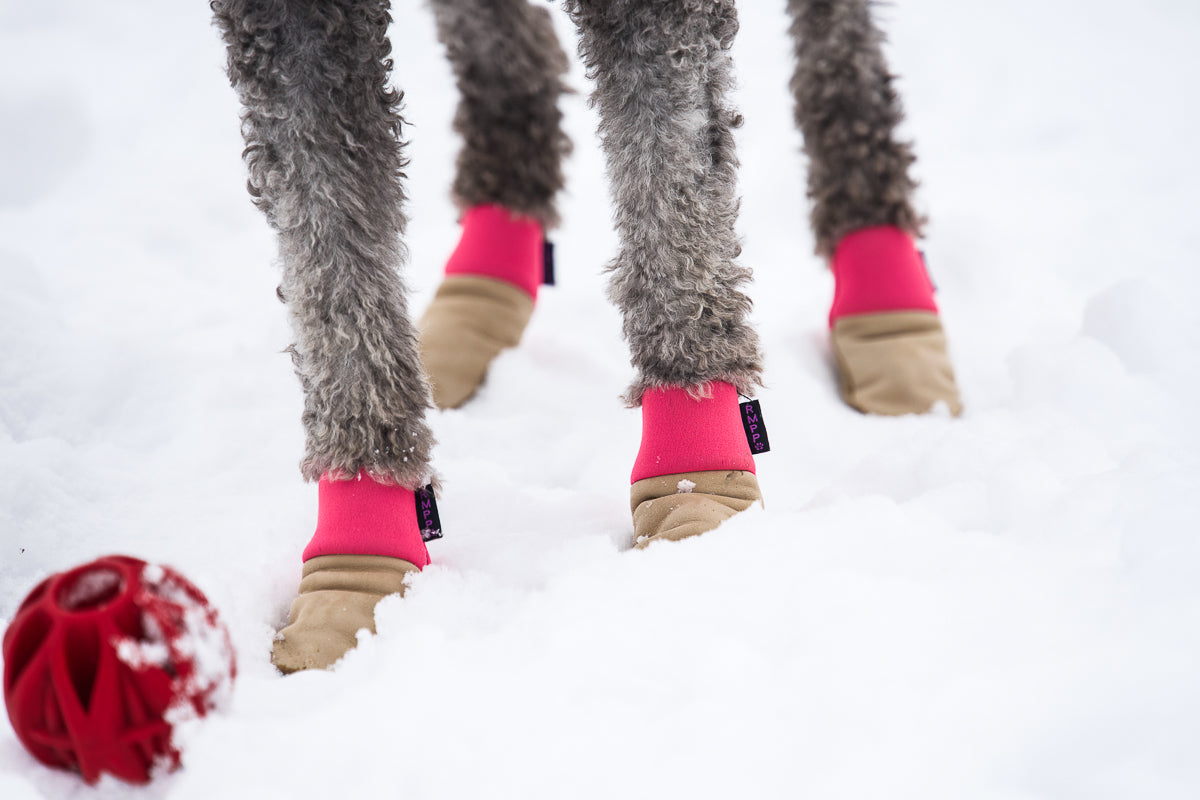 Water-Resistant Dog Booties, One Pair with Leather Soles and Neoprene Uppers for All-Weather Walks source image 9