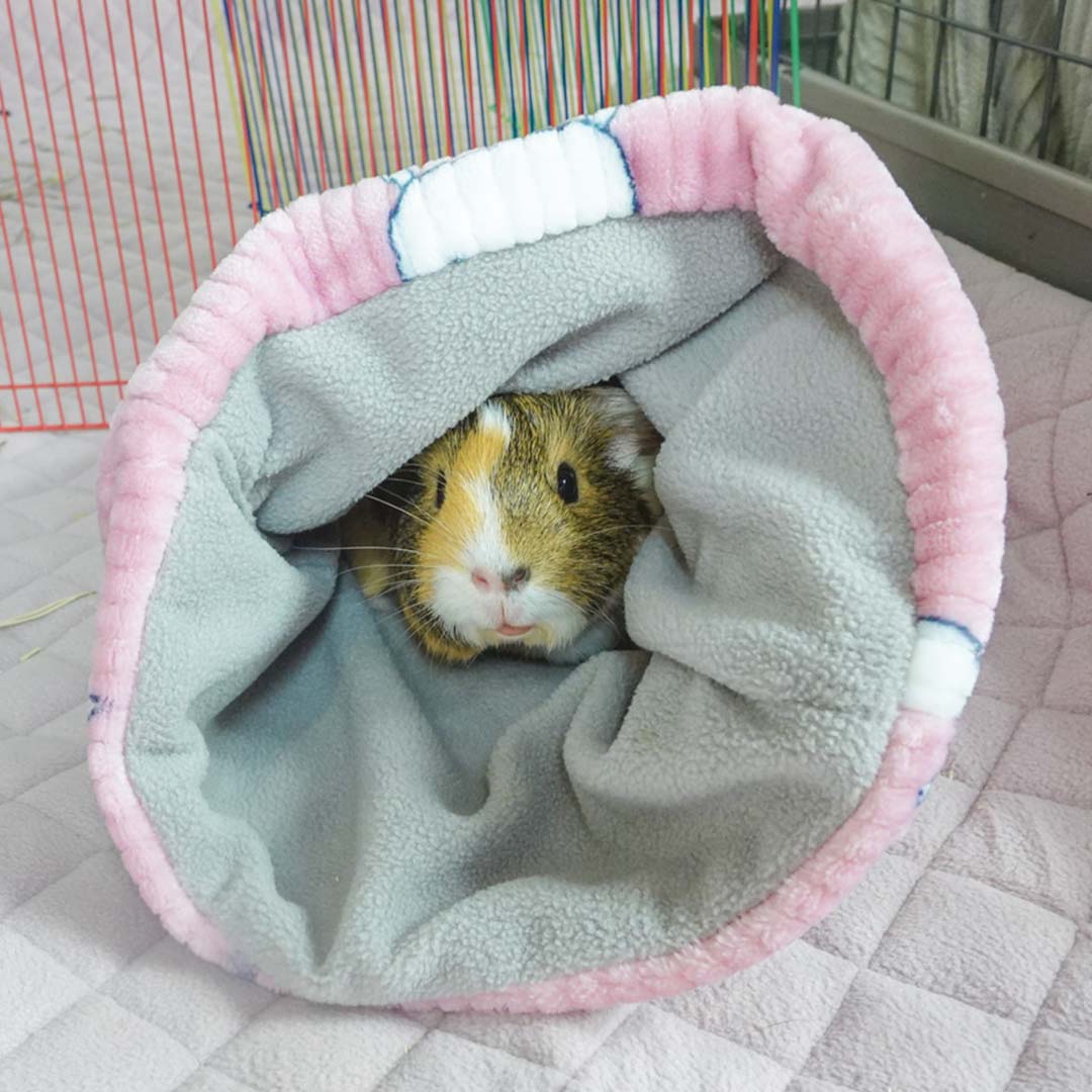 Guinea Pig Plush Play Set for Daily Hideaway and Rest Time, Three-Piece Package in Pink or Gray source image 9