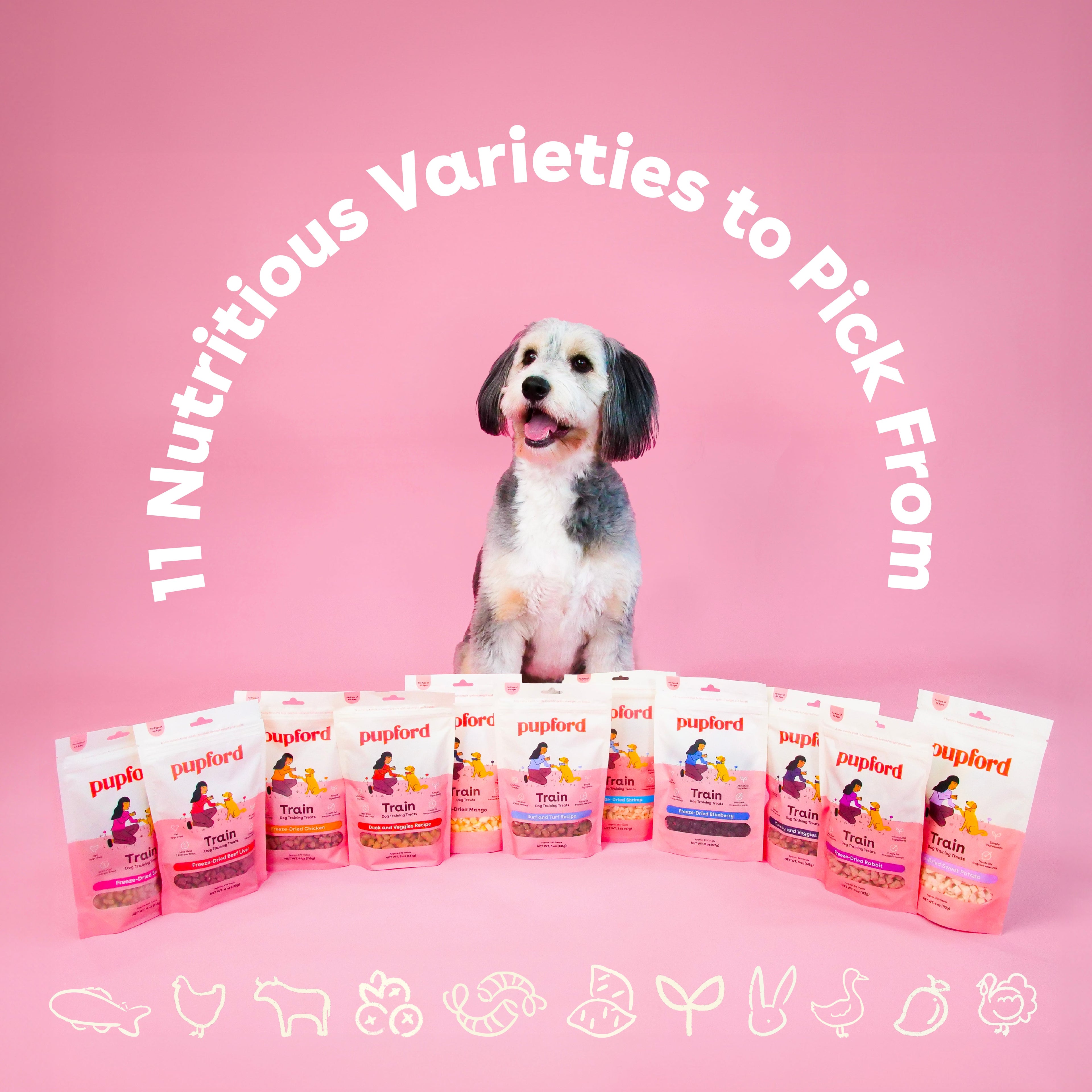 Freeze-Dried Blueberry Dog Training Treats in 2-Ounce Bags, Single and Multipack Sizes for Reward Sessions source image 9