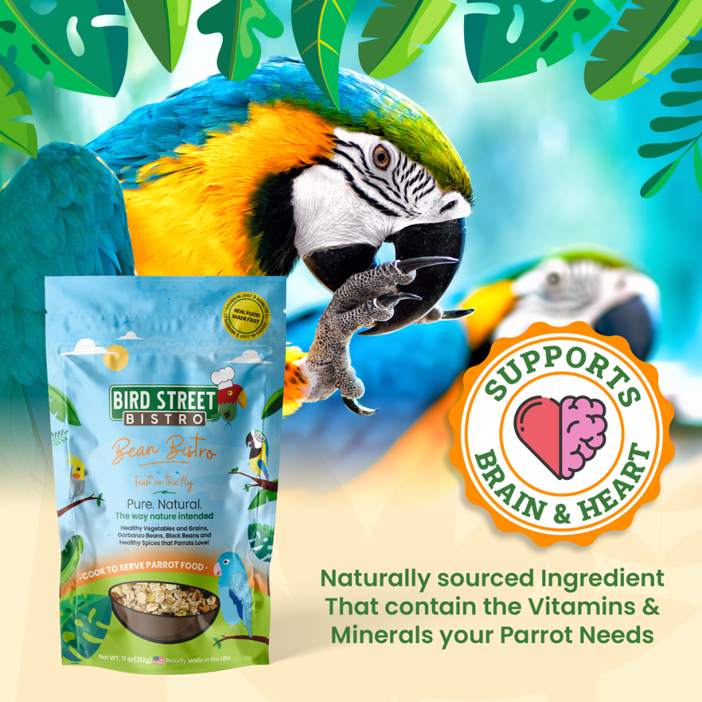 Cookable Parrot Food Blend, Natural Bean and Whole-Grain Meal for Enriching Everyday Feeding source image 9