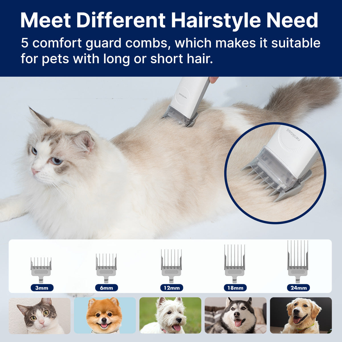 Pet Grooming Vacuum Kit, 5-in-1 System Offering 10,500 Pa Suction, 2 L Dust Cup and Quiet Operation source image 9
