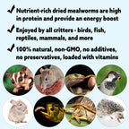 Dried Insect Poultry Feed, Mealworm and BSFL Foraging Supplement in Four Bulk Sizes for Chickens and Ducks source image 9