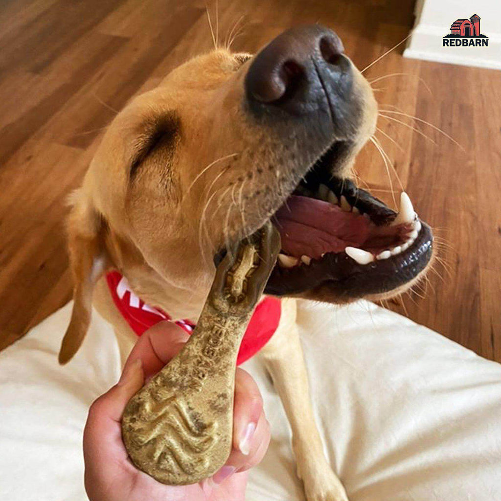 Dental Brush Chews for Dogs, Ridged Limited-Ingredient Treats in Small or Large Packs for Daily Oral Care source image 9