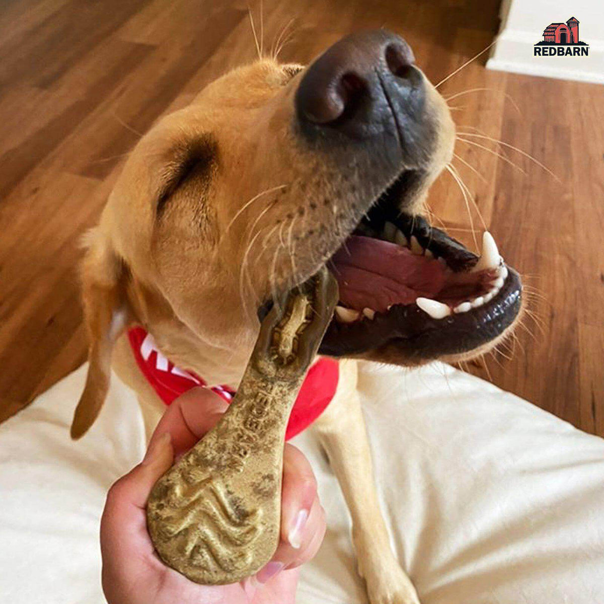 Dental Brush Chews for Dogs, Ridged Limited-Ingredient Treats in Small or Large Packs for Daily Oral Care source image 9