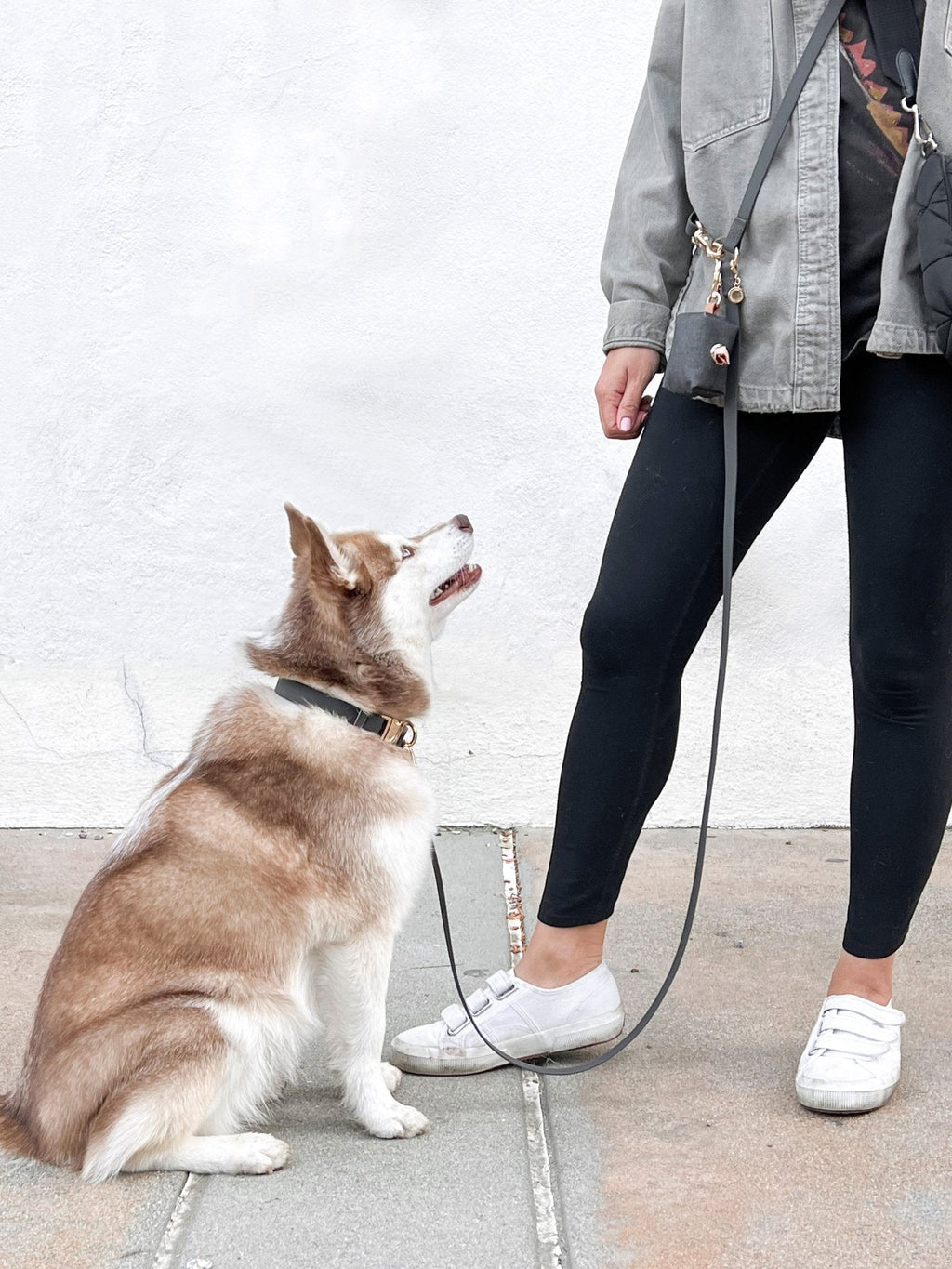 Hands-Free Dog Leash, Four-Way Convertible Crossbody and Waist Design in Standard or Wide Webbing source image 9