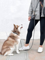 Hands-Free Dog Leash, Four-Way Convertible Crossbody and Waist Design in Standard or Wide Webbing source image 9