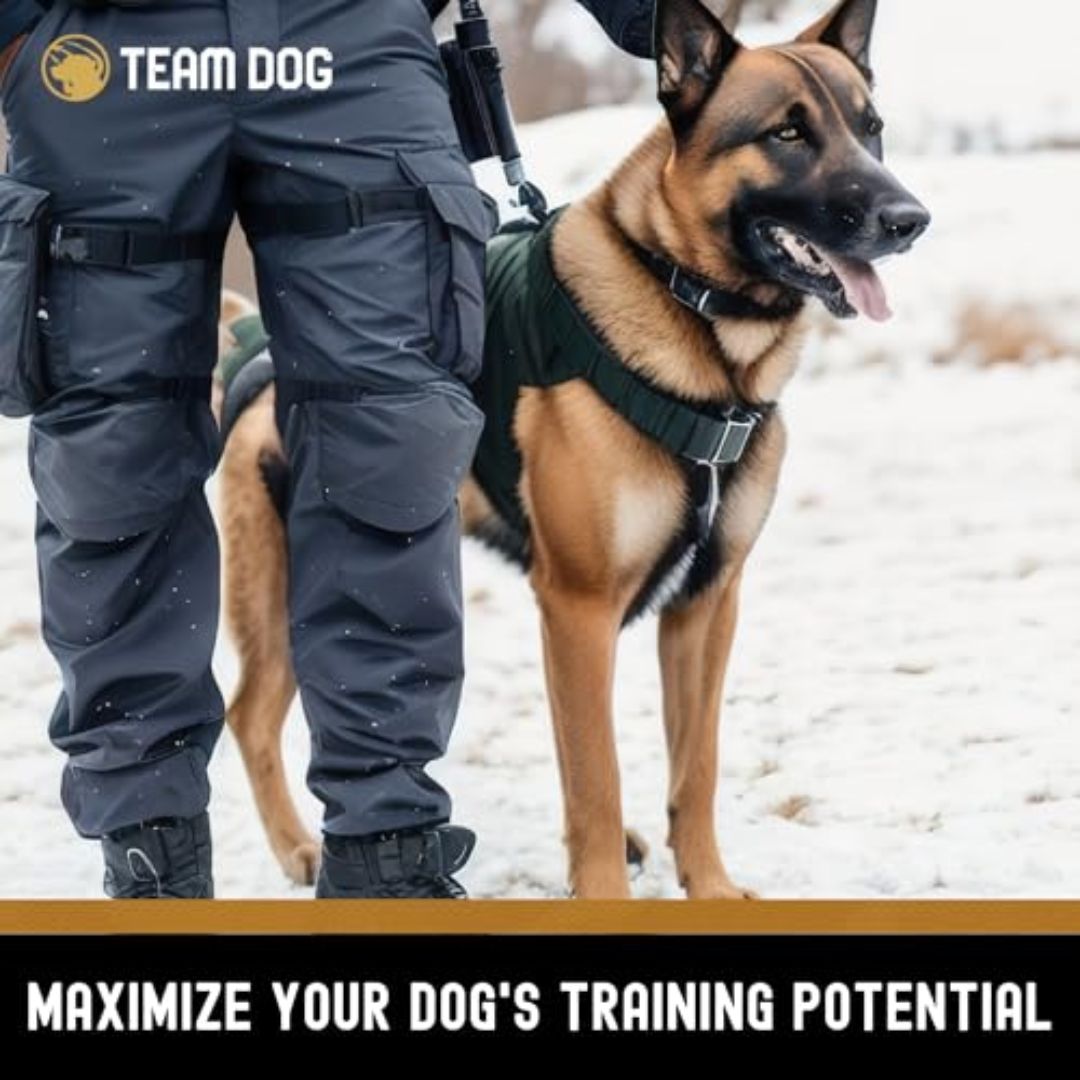 Freeze-Dried Beef Dog Treats for Training with USA-Sourced Meat and a Crunchy Bite-Sized Texture product image 9