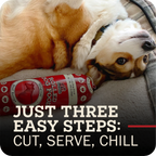 Dog lying next to rolled dog food with promotional text on a gray surface