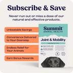 Large Dog Joint Supplement in Weekly Liquid Doses for Dogs Over 75 lb, Offered as Single and Multi-Box Packs source image 8