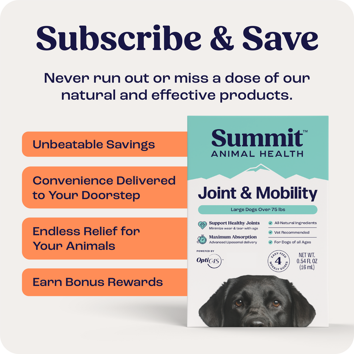 Large Dog Joint Supplement in Weekly Liquid Doses for Dogs Over 75 lb, Offered as Single and Multi-Box Packs source image 8