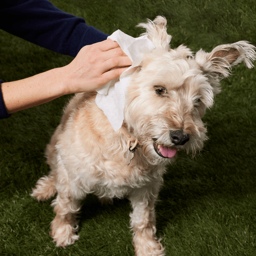 Extra Large Dog Grooming Wipes for Paws, Fur and Skin, Convenient Cleanup Between Regular Baths source image 9