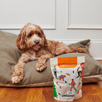 Sweet Potato Dog Jerky Made from Organic Air-Dried North Carolina Potatoes in 12 oz and Three Packs source image 9