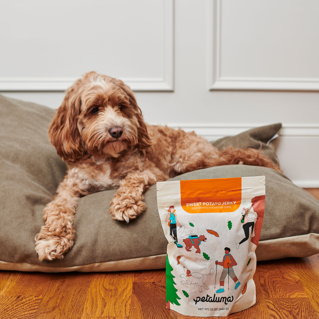 Sweet Potato Dog Jerky Made from Organic Air-Dried North Carolina Potatoes in 12 oz and Three Packs source image 9