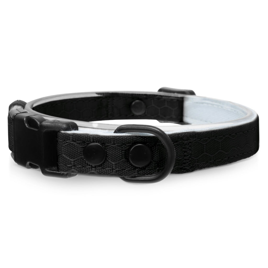 Breakaway Cat Collar Adult / Charcoal Black