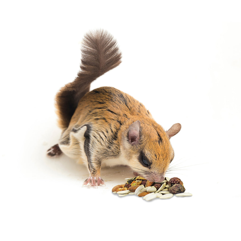 Complete Squirrel Food product image 9