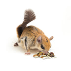 Complete Squirrel Food product image 9