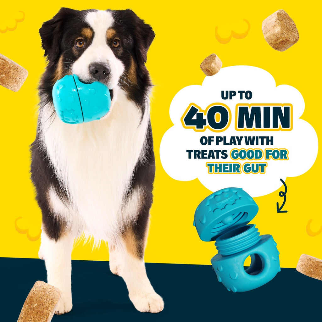 Dog Treat-Dispensing Toy Starter Kit product image 9