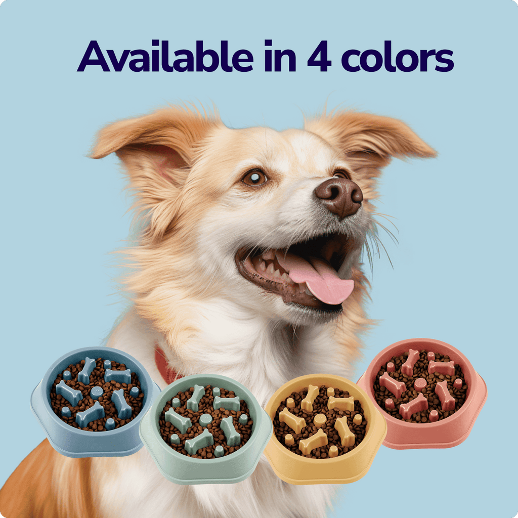 Slow Feeder Dog Bowl product image 9