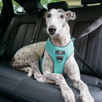 Crash-Tested Dog Car Safety Harness product image 9