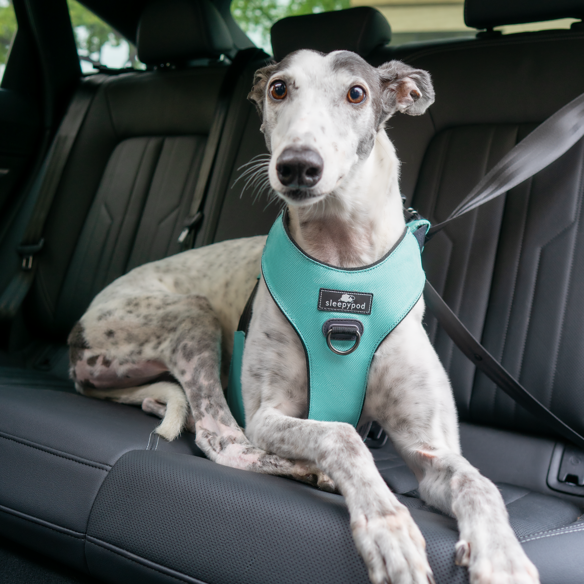 Crash-Tested Dog Car Safety Harness product image 9