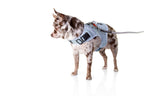Martingale Dog Harness product image 9